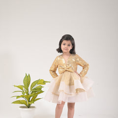 Golden Majestic Princess Dress – Stylish and Regal Look for Girls